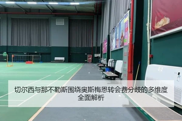 切尔西与那不勒斯围绕奥斯梅恩转会费分歧的多维度全面解析