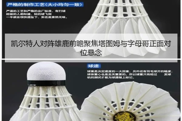 凯尔特人对阵雄鹿前瞻聚焦塔图姆与字母哥正面对位悬念
