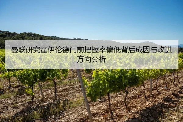 曼联研究霍伊伦德门前把握率偏低背后成因与改进方向分析